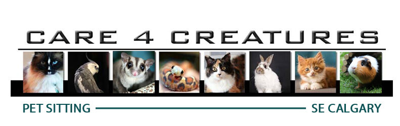 Calgary Pet Sitting - Care 4 Creatures